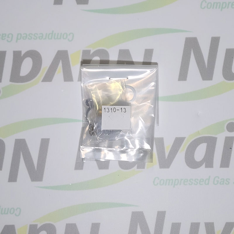 Repair Kit for 1310 Back Pressure Regulator