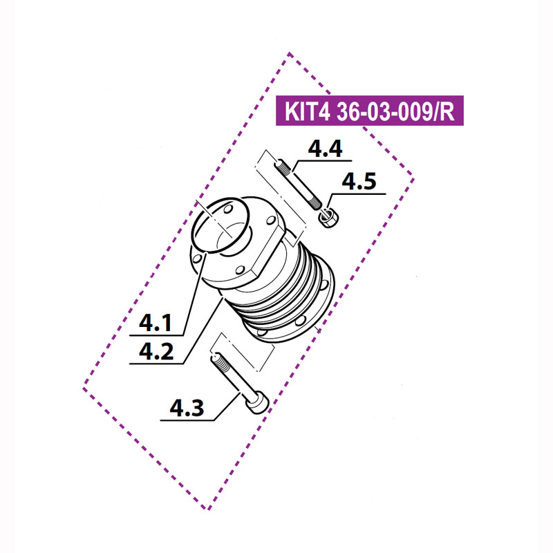 36-03-009 (#4.2 in Image)